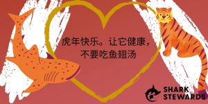 Copy of love a shark 1