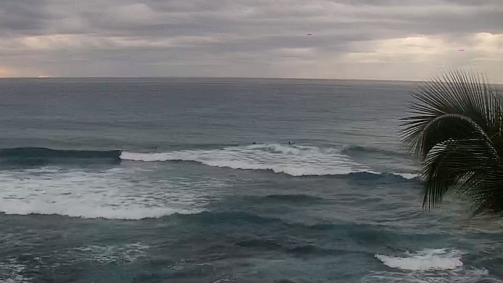 On December 4, 2021 a 38 year old man was bit by a shark while surfing at the popular break Banyans in Kailua- Kona between the hours of 5:55 and 6 PM during a period of light rain. Veteran surfer  Jared "Jahred" Willieford was waiting for a wave with a nearby surfer when the shark slammed into him and grasped his arm, pulling him off the board and submerging him before releasing