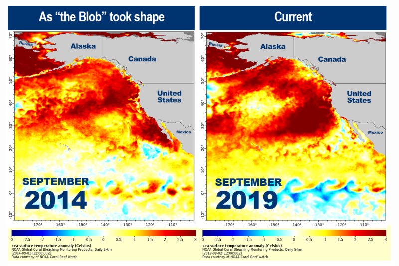 _marine_heat_wave_noaa_coral_reef_watch_508
