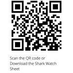 Shark Watch