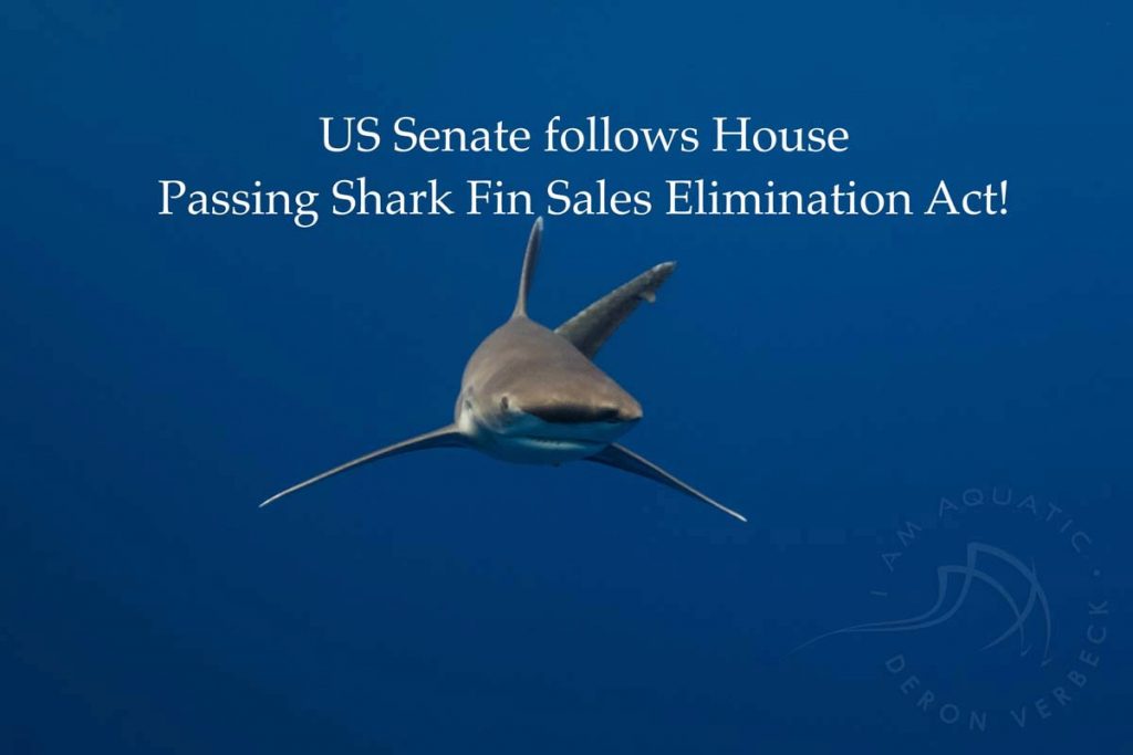 US Shark Fin Ban