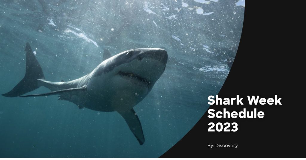 Shark week schedule banner