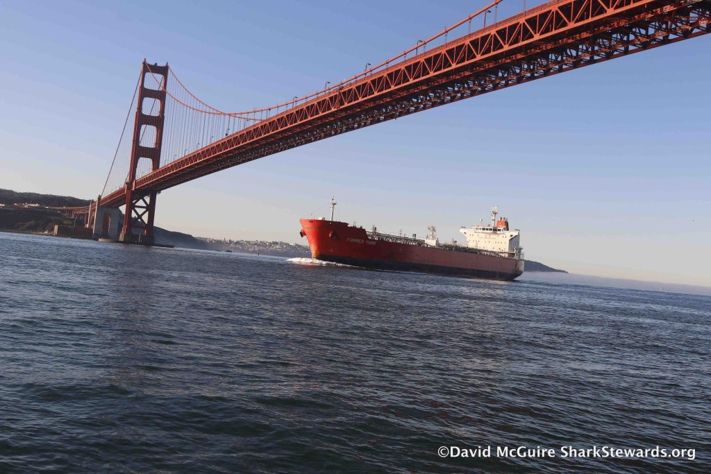 Oil Tanker And Bridge