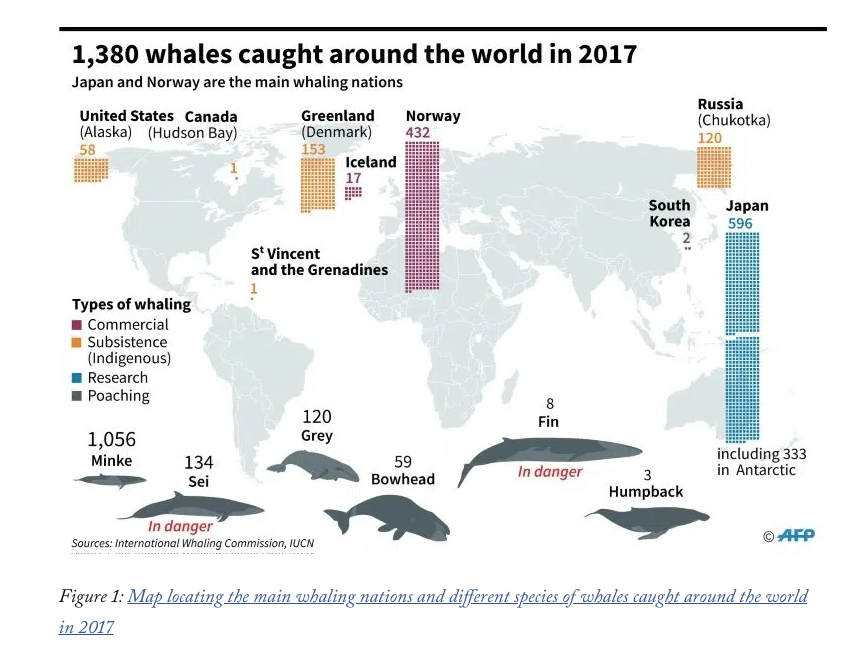 Screen Shot 2023 10 26 At 10.40.16 Am