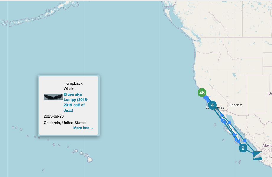 Screen Shot 2023 11 06 At 8.24.10 Pm