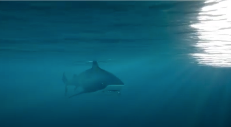 3679b8db Df73 2f89 20f9 9609f031d7a1