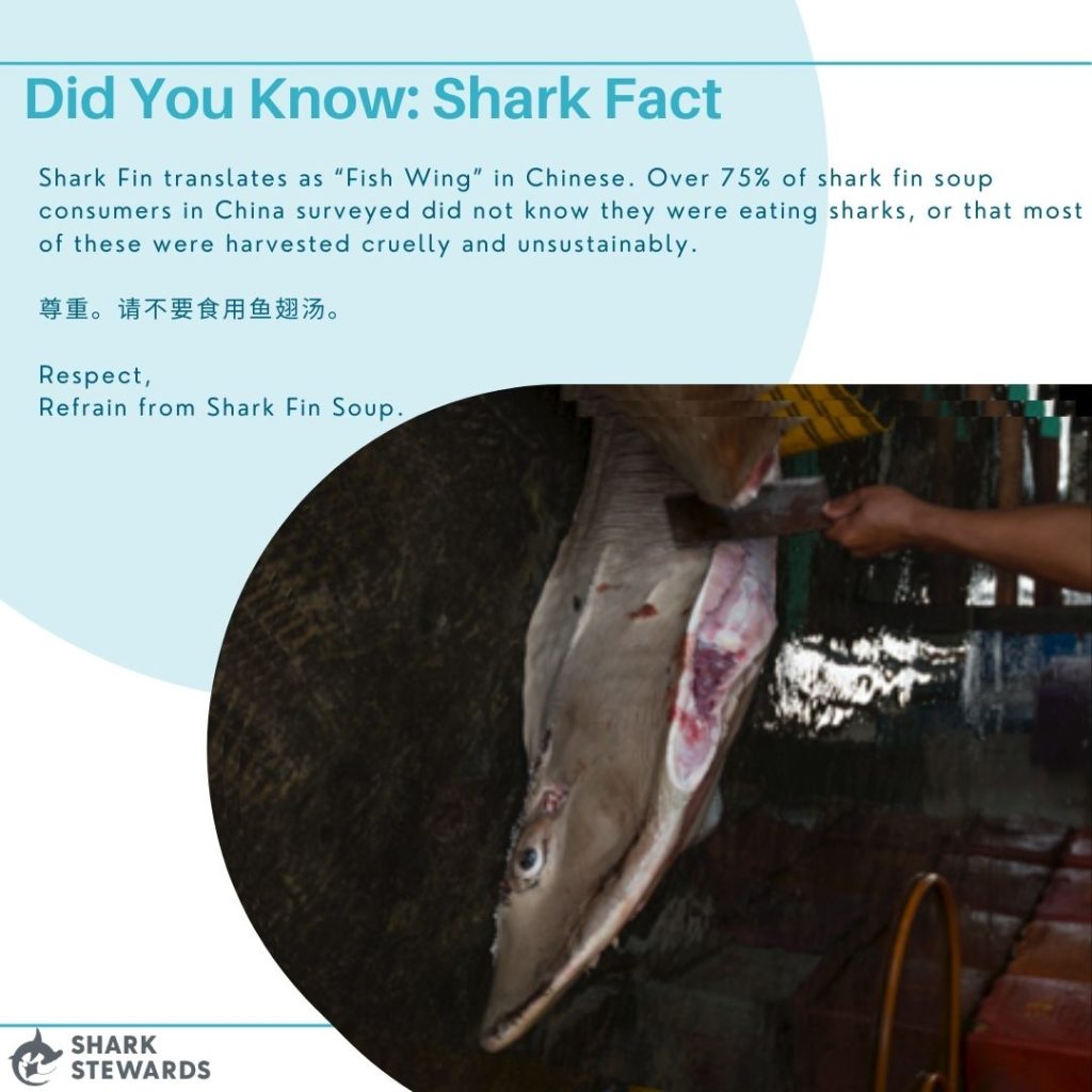 Did You Know Info Template