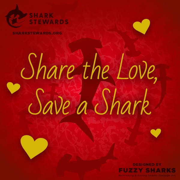 Shark Stewards Fuzzy Sharks Valentines 2021 V2