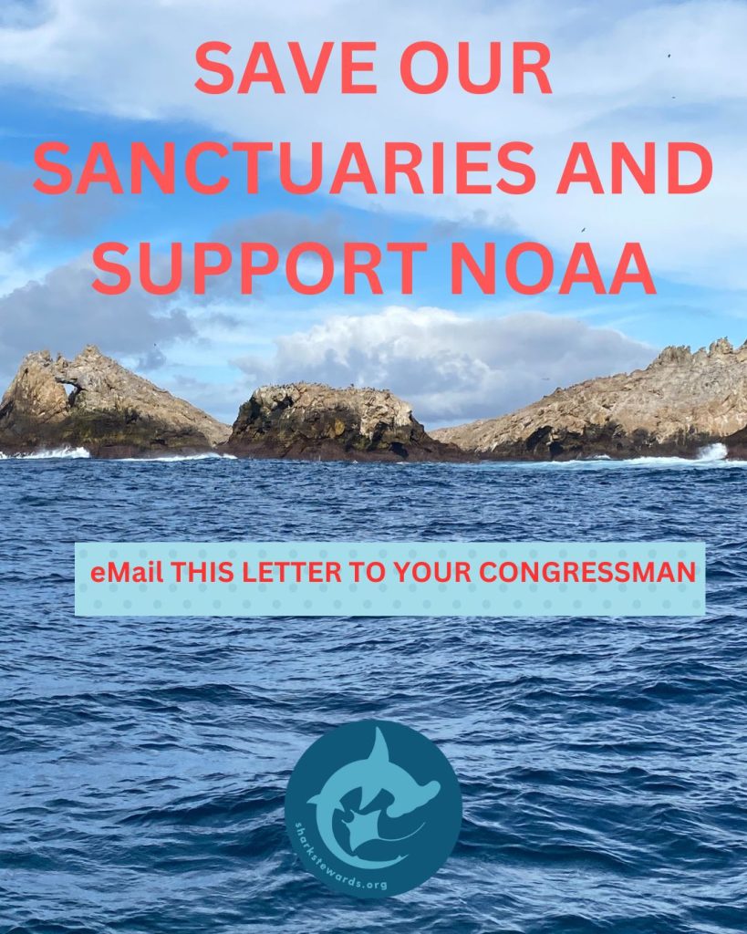 Dave Our Sanctuaries And Support Noaa Small