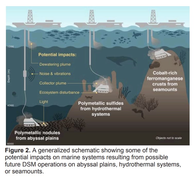 ScreenshotImage of Potential impacts deep sea mining source NOAA