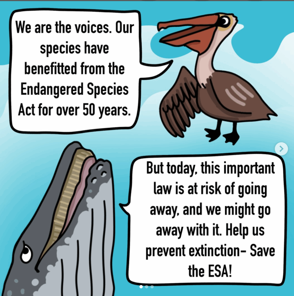 Screen Shot 2025 12 01 at 11.42.42 AM