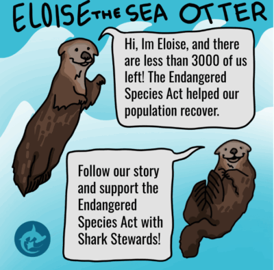 cartoon of sea otter
