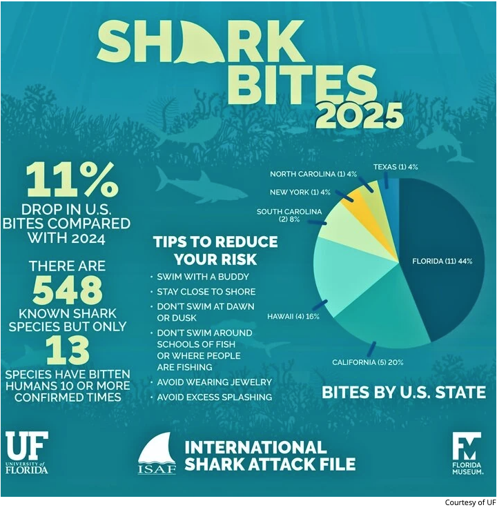 Screen Shot 2026 02 18 at 12.22.52 PM