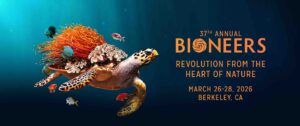 2026 Bioneers homepage banner Sea Turtle and life